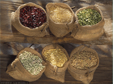 Grain01